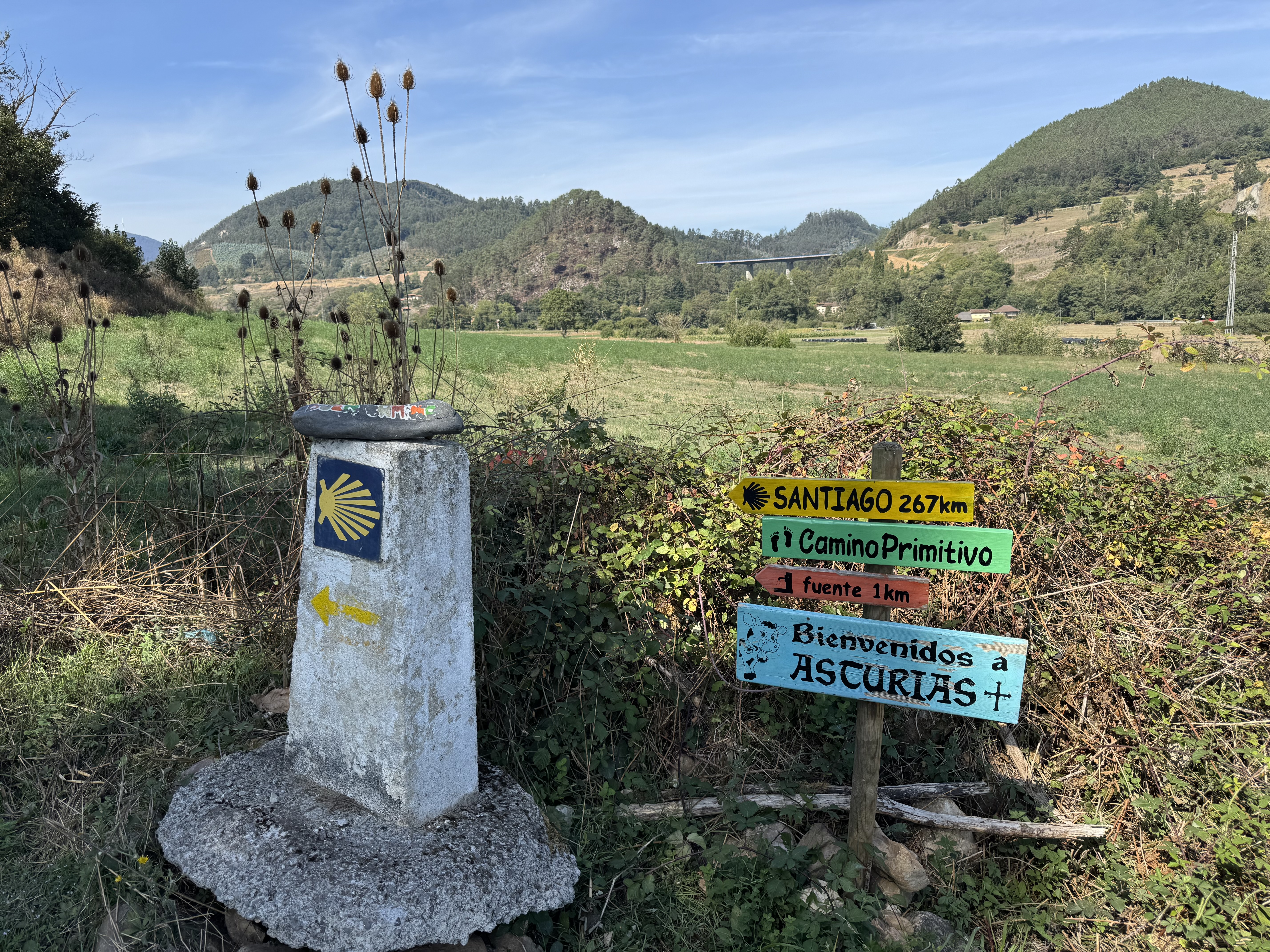 Camino Primitivo
